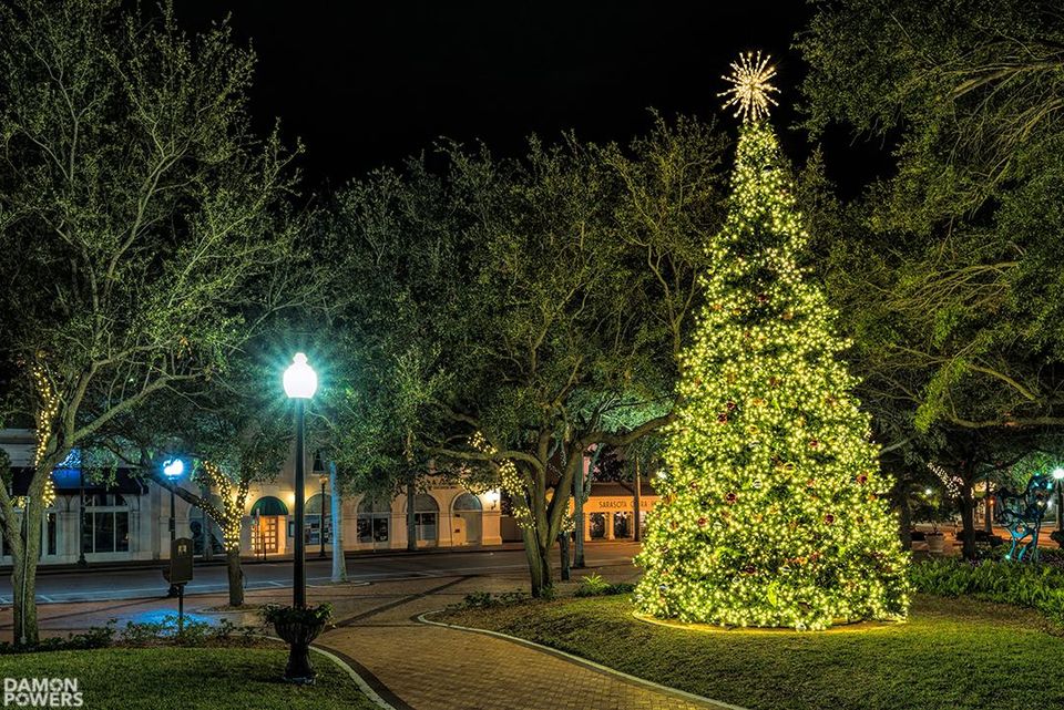 Downtown Sarasota’s Enchanting Christmas Tree Lighting DISCOVER